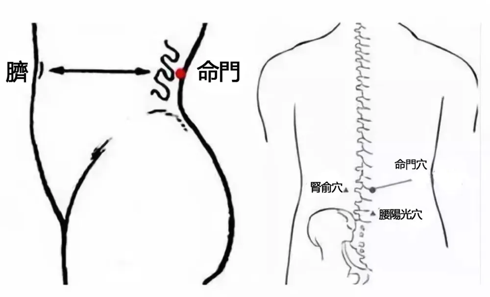 사용자 아바타